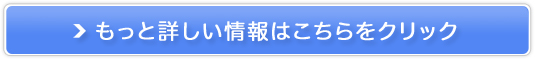 YbJ`iZUKACHINj̔TCg